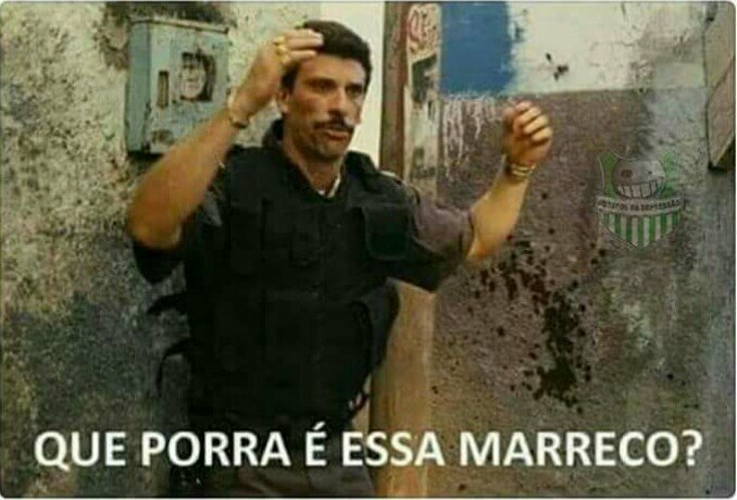 marreco.jpg
